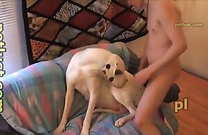 Người đàn ông quan hệ tình dục với con chó khi nó kêu lên sung sướng